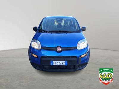 Fiat Panda 1.0 firefly hybrid s&amp;s 70cv 5p.ti nuova a San Giorgio a Liri