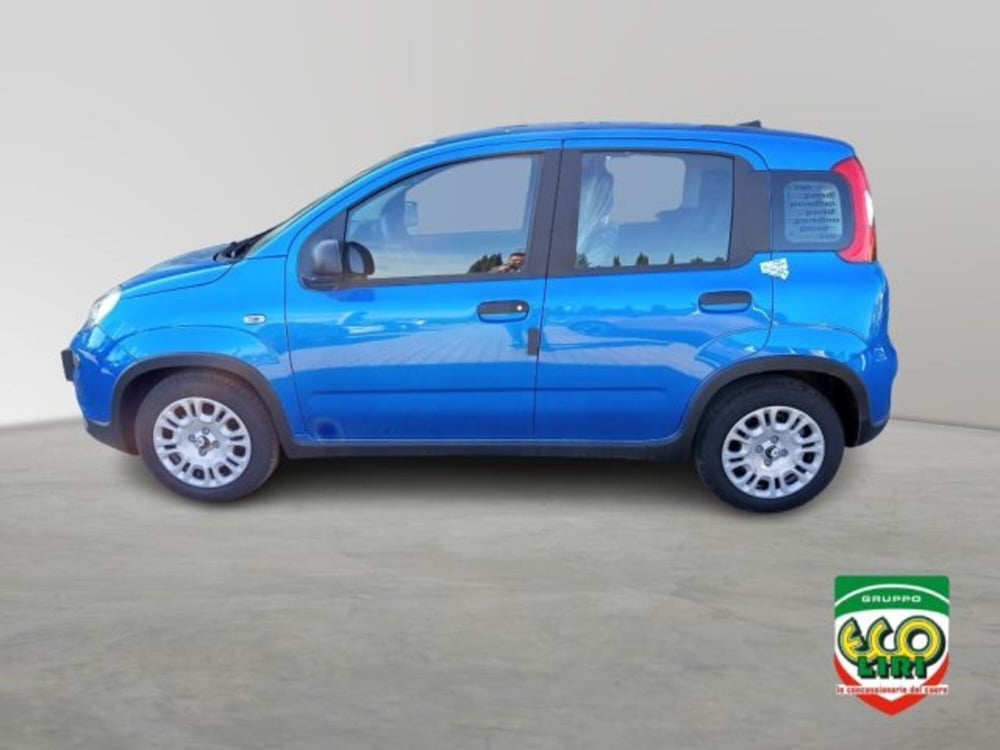 Fiat Panda nuova a Frosinone (3)