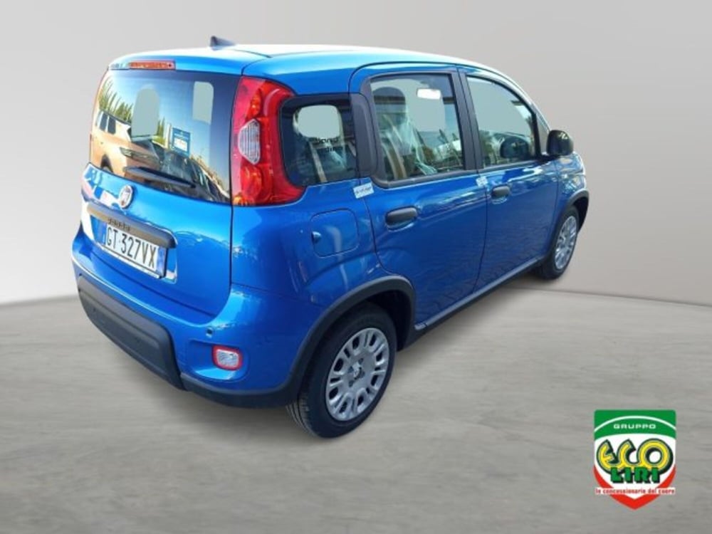 Fiat Panda nuova a Frosinone (6)