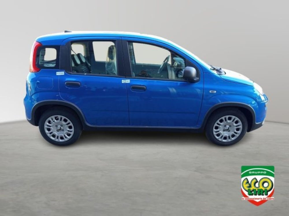 Fiat Panda nuova a Frosinone (7)