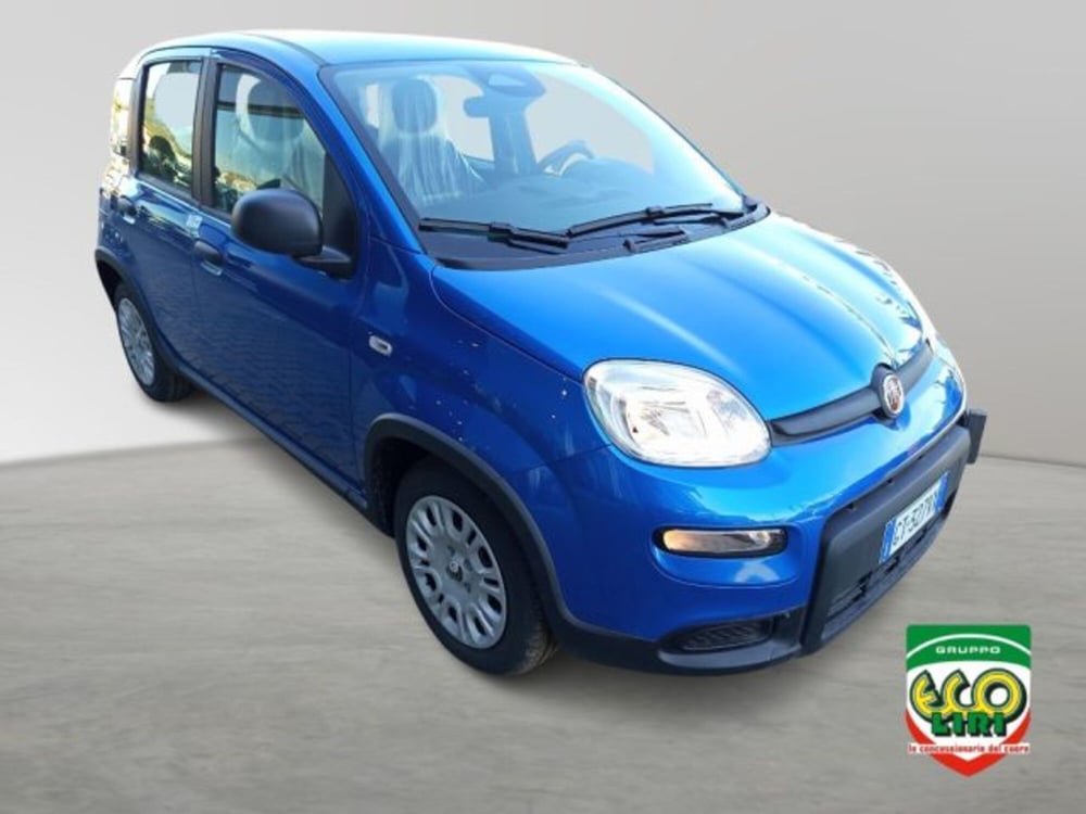Fiat Panda nuova a Frosinone (8)