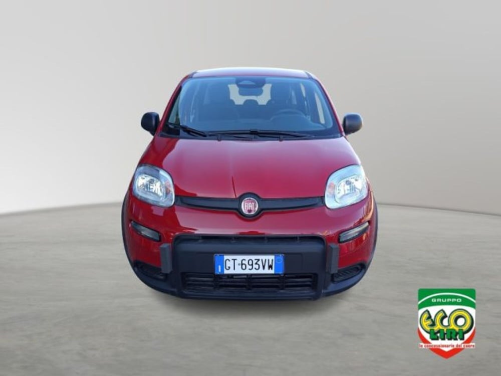 Fiat Panda nuova a Frosinone