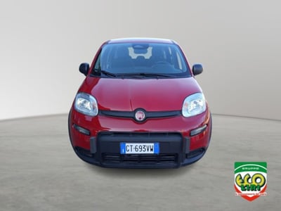 Fiat Panda 1.0 firefly hybrid s&amp;s 70cv 5p.ti nuova a San Giorgio a Liri