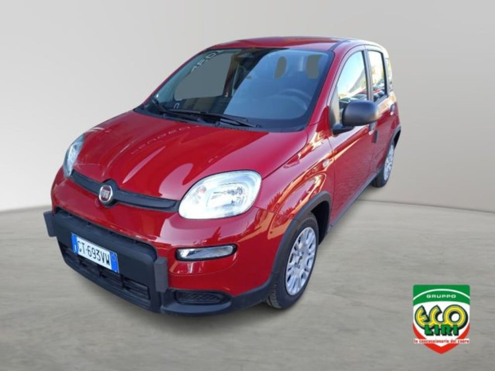 Fiat Panda nuova a Frosinone (2)