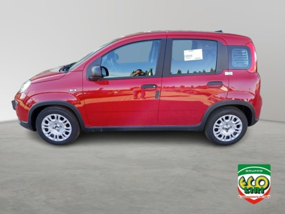 Fiat Panda nuova a Frosinone (3)