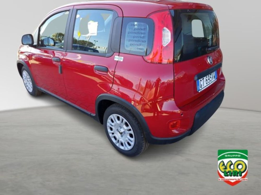 Fiat Panda nuova a Frosinone (4)