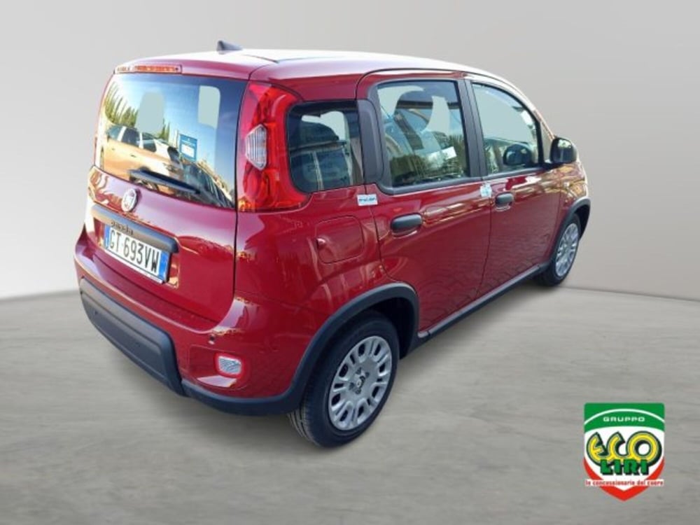 Fiat Panda nuova a Frosinone (6)