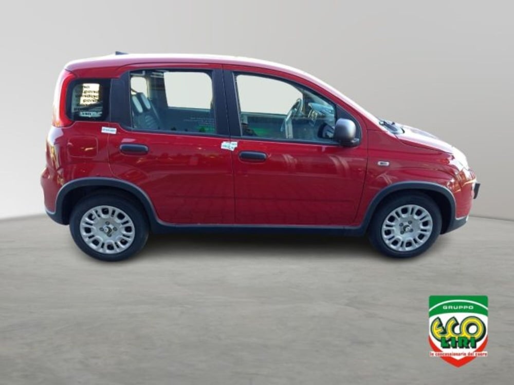 Fiat Panda nuova a Frosinone (7)