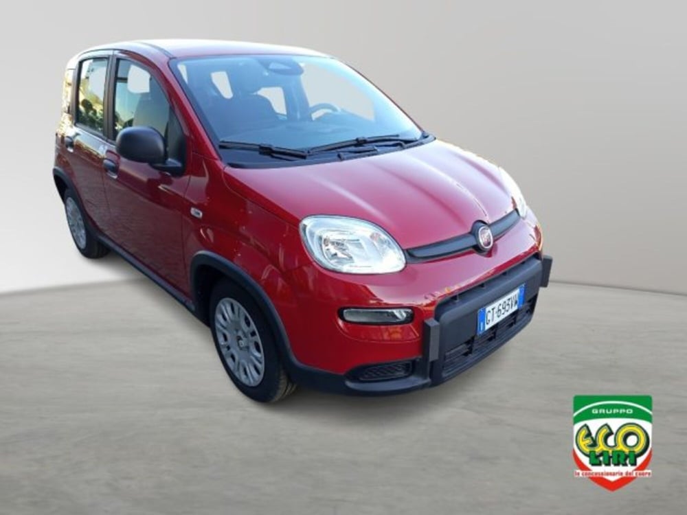Fiat Panda nuova a Frosinone (8)