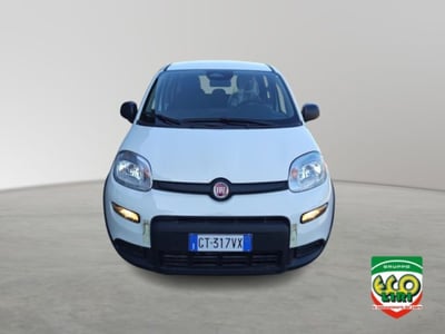 Fiat Panda 1.0 firefly hybrid s&amp;s 70cv 5p.ti nuova a San Giorgio a Liri