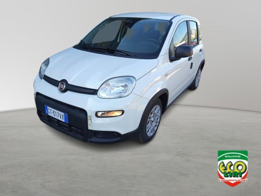 Fiat Panda nuova a Frosinone (2)