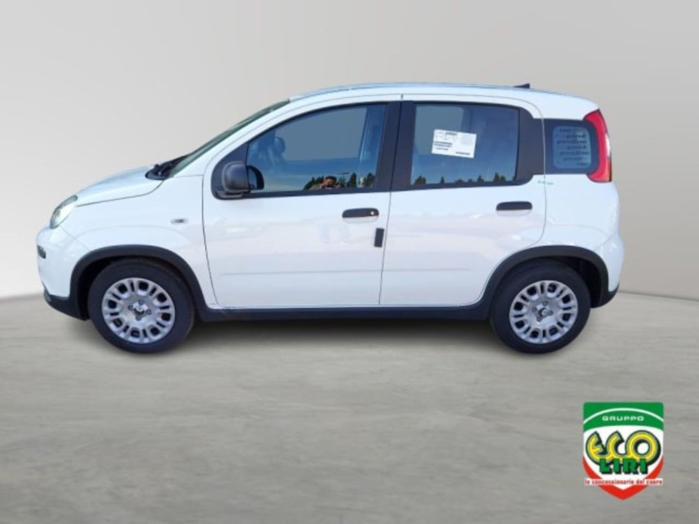 Fiat Panda nuova a Frosinone (3)