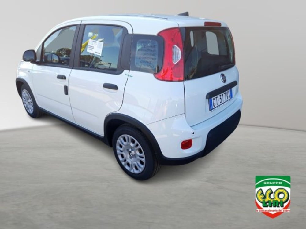 Fiat Panda nuova a Frosinone (4)