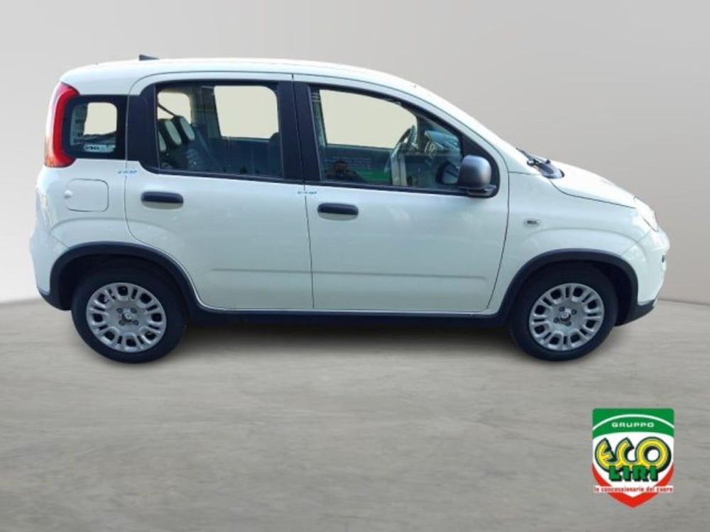 Fiat Panda nuova a Frosinone (7)