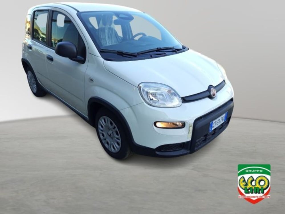 Fiat Panda nuova a Frosinone (8)
