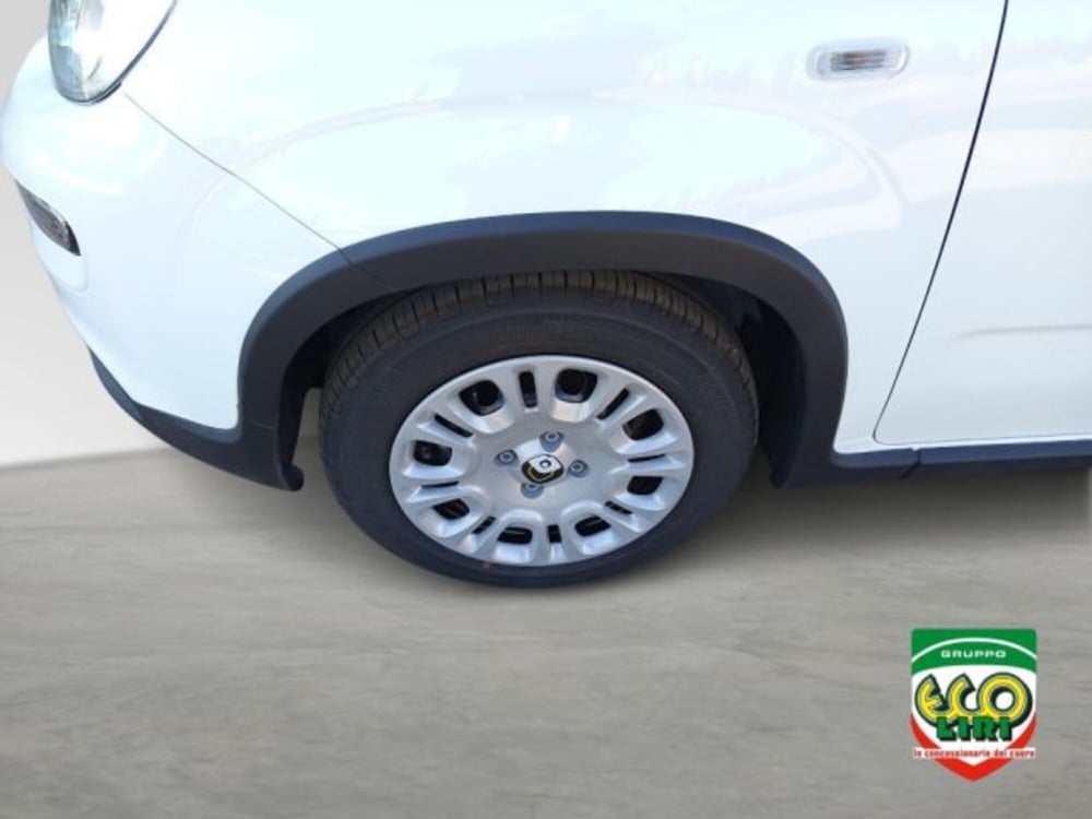Fiat Panda nuova a Frosinone (9)