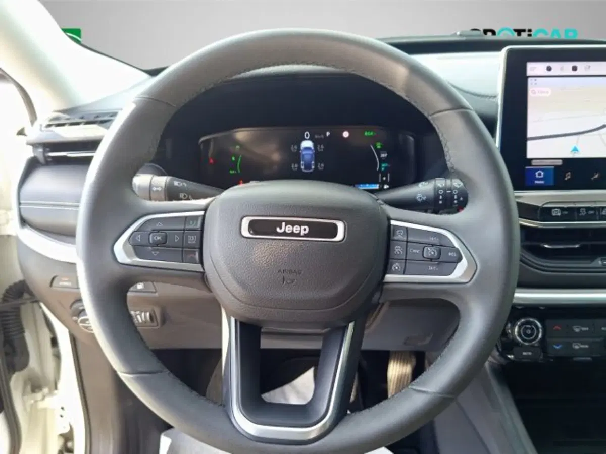 Jeep Compass usata a Frosinone (12)