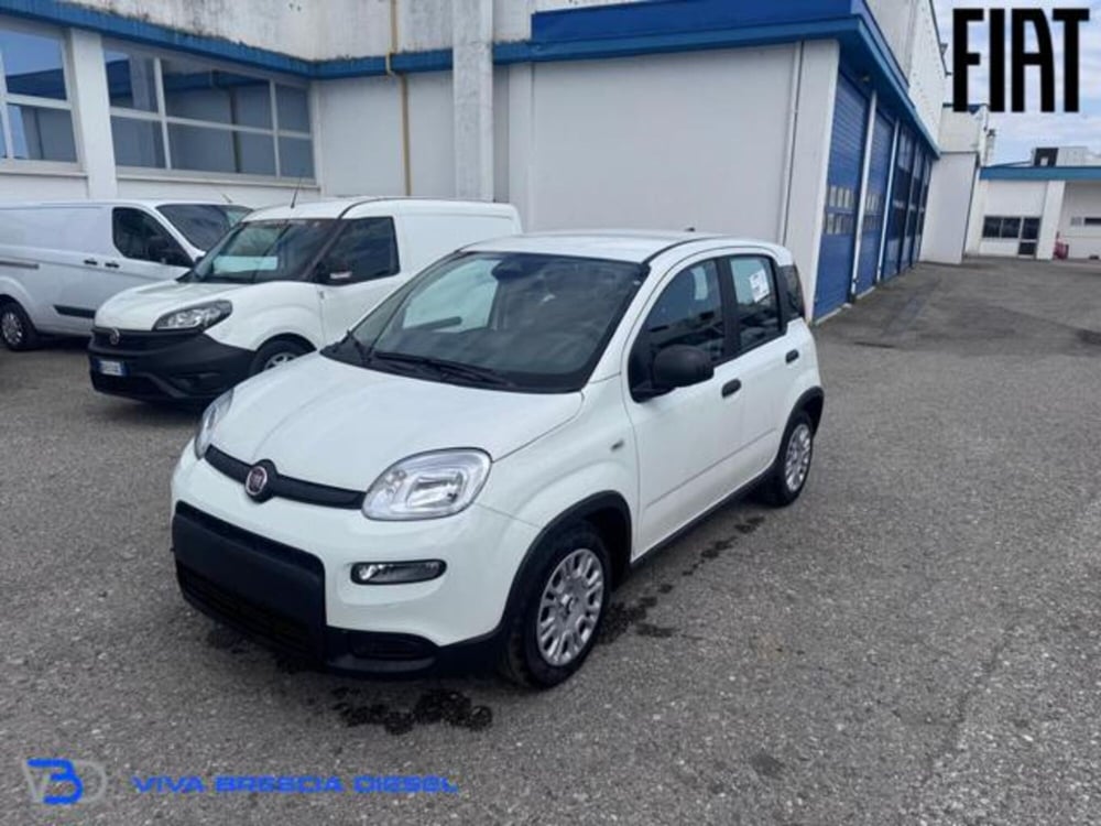Fiat Panda nuova a Brescia