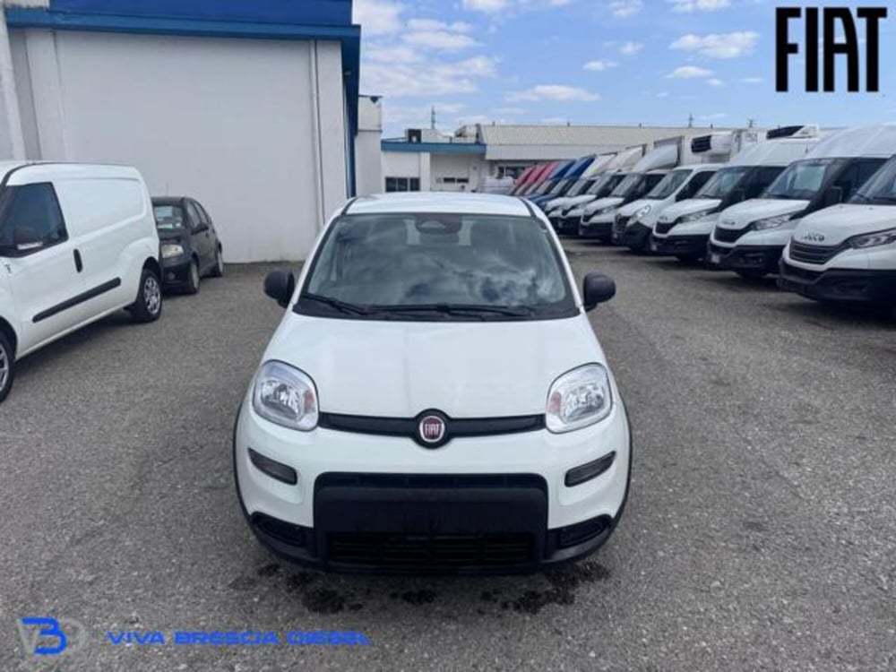 Fiat Panda nuova a Brescia (2)