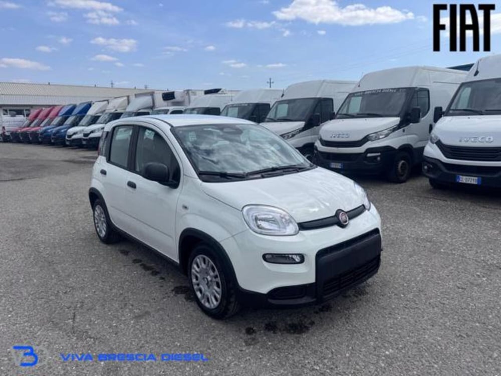 Fiat Panda nuova a Brescia (3)
