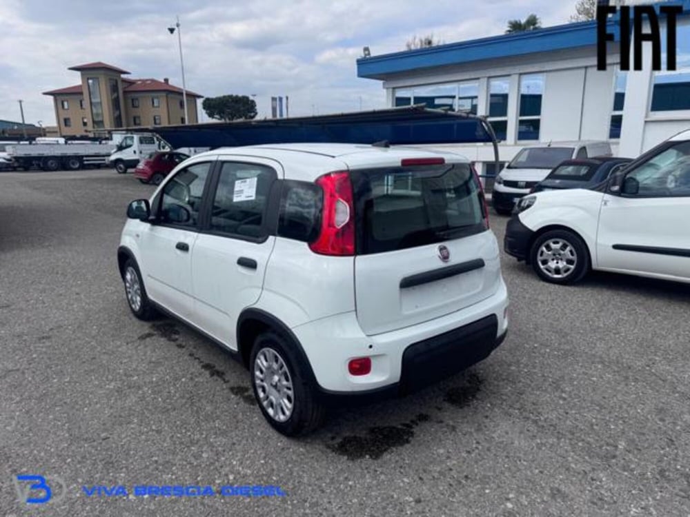 Fiat Panda nuova a Brescia (4)