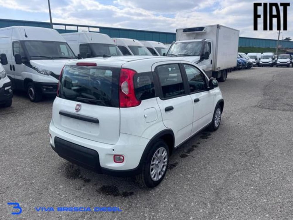 Fiat Panda nuova a Brescia (6)
