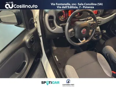 Fiat Panda 1.0 FireFly S&amp;S Hybrid City Cross del 2022 usata a Sala Consilina