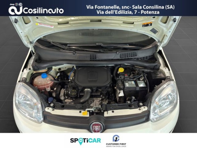 Fiat Panda usata a Salerno (18)