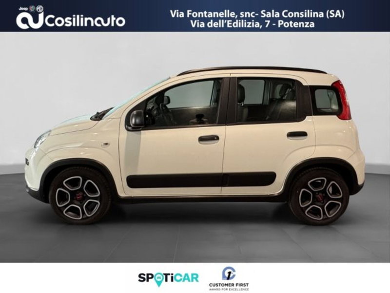 Fiat Panda usata a Salerno (2)