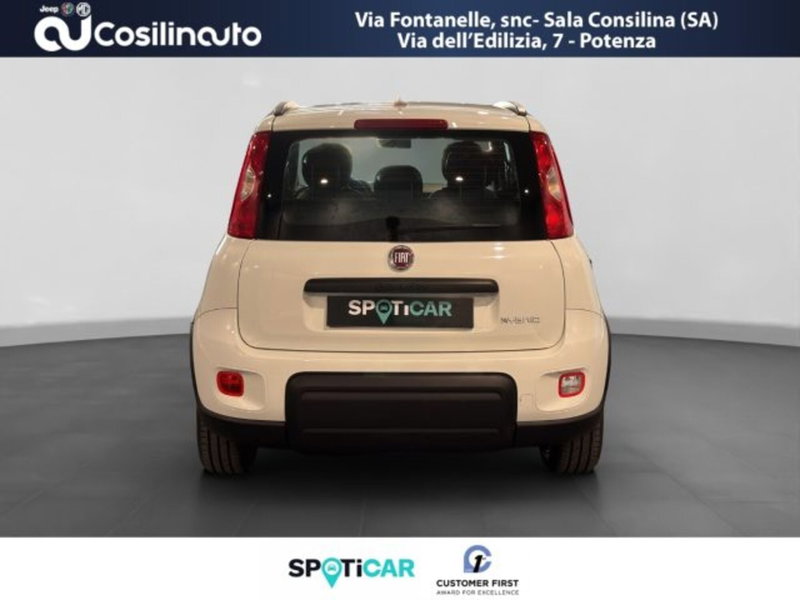 Fiat Panda usata a Salerno (4)