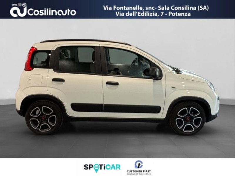 Fiat Panda usata a Salerno (6)