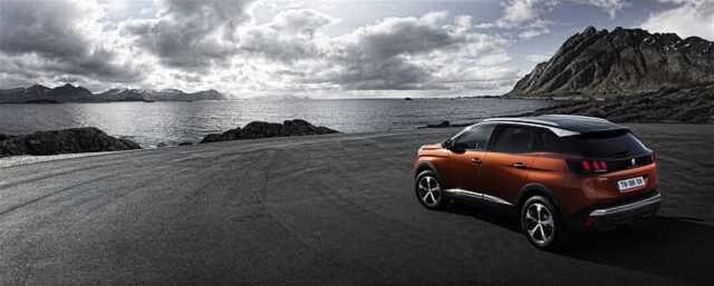 Peugeot 3008 usata a Potenza (4)