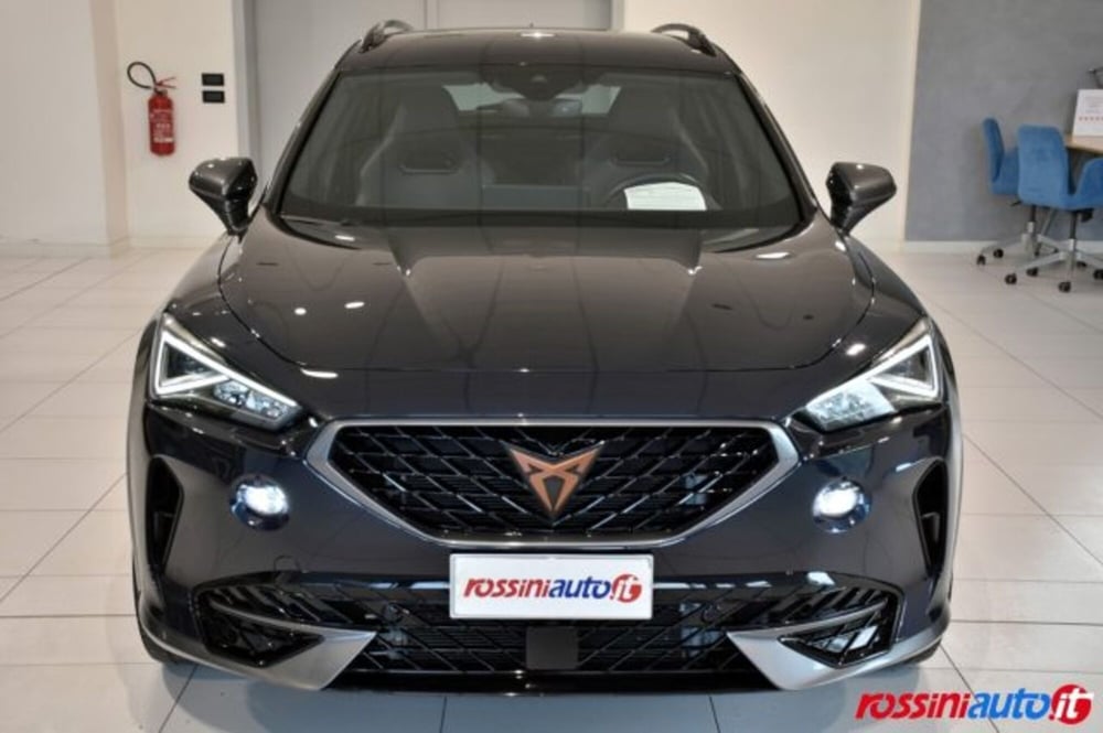 Cupra Formentor usata a Brescia (8)