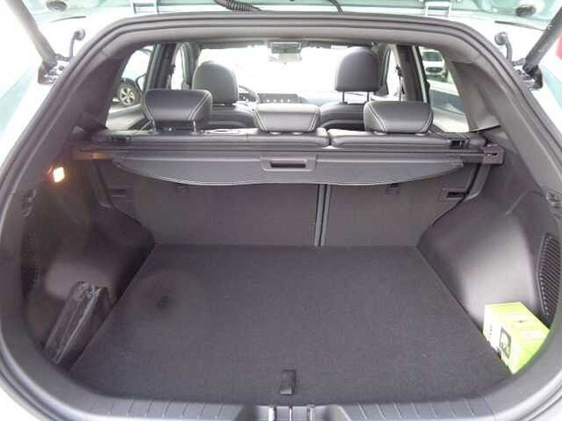 Evo Evo 6 II nuova a Treviso (20)