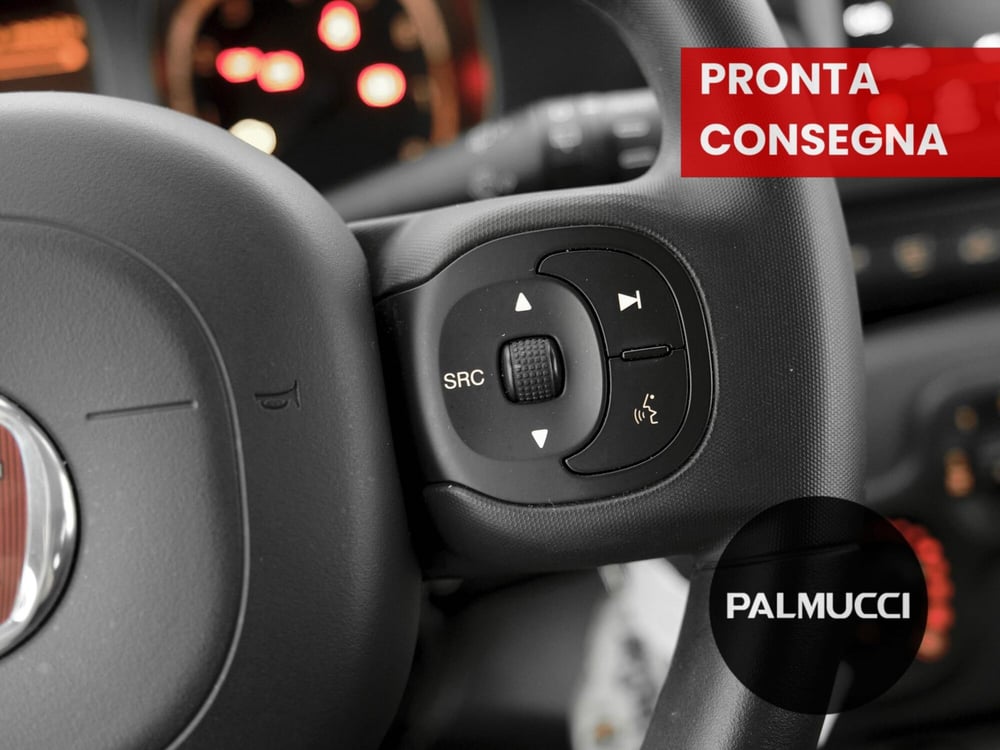 Fiat Panda Cross usata a Prato (12)