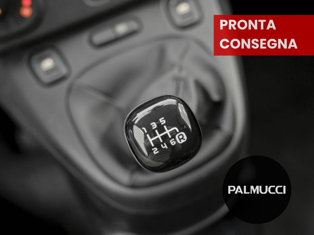 Fiat Panda Cross usata a Prato (15)