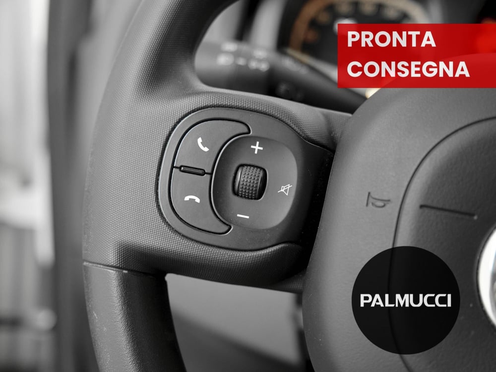 Fiat Panda Cross usata a Prato (16)