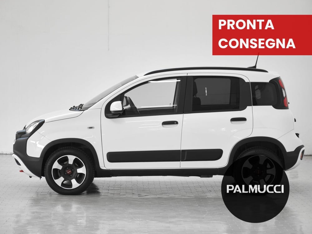Fiat Panda Cross usata a Prato (4)