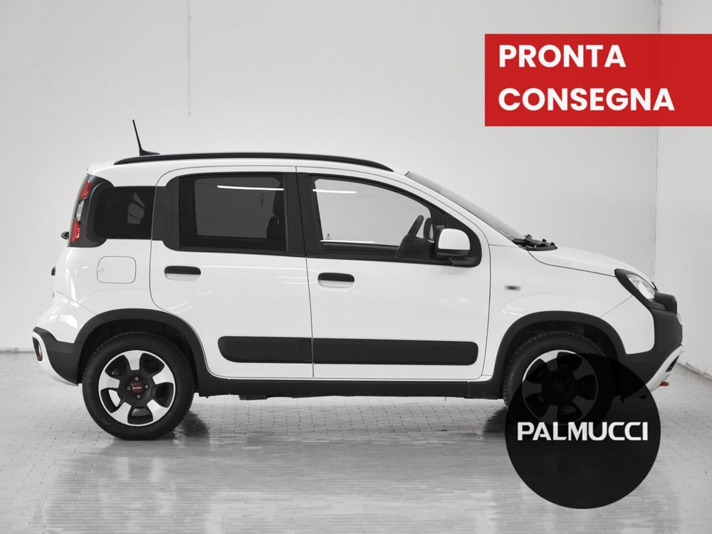 Fiat Panda Cross usata a Prato (5)