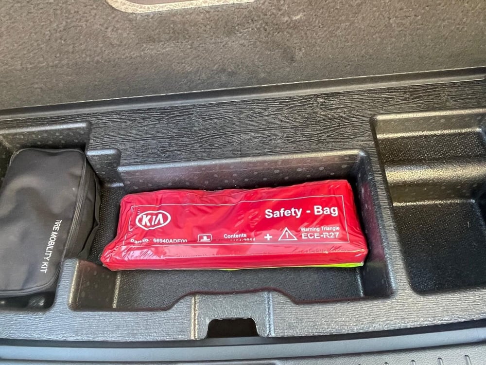 Kia Sportage usata a Arezzo (18)