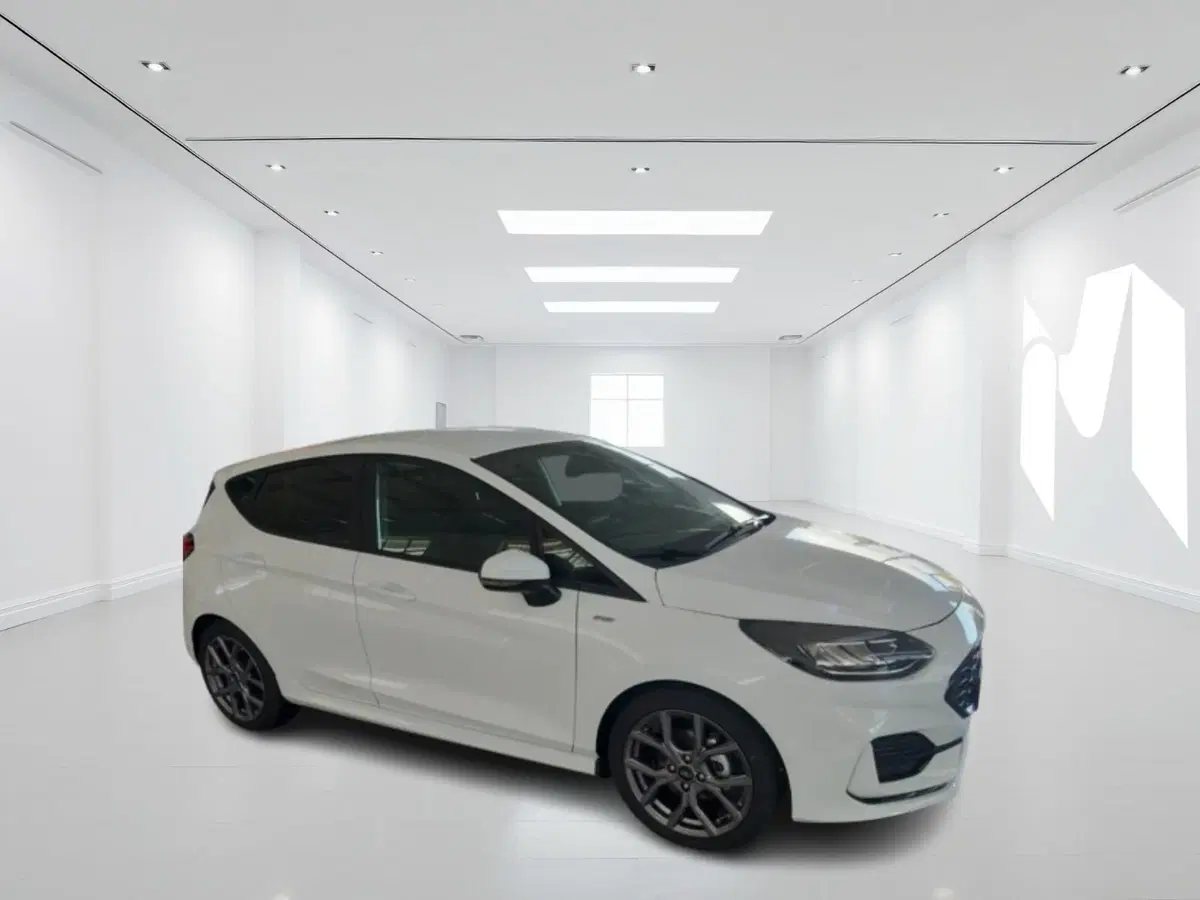 Ford Fiesta nuova a Latina (2)