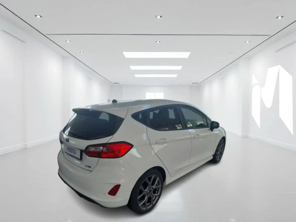 Ford Fiesta nuova a Latina (4)