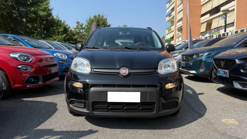 Fiat Panda usata a Roma (20)
