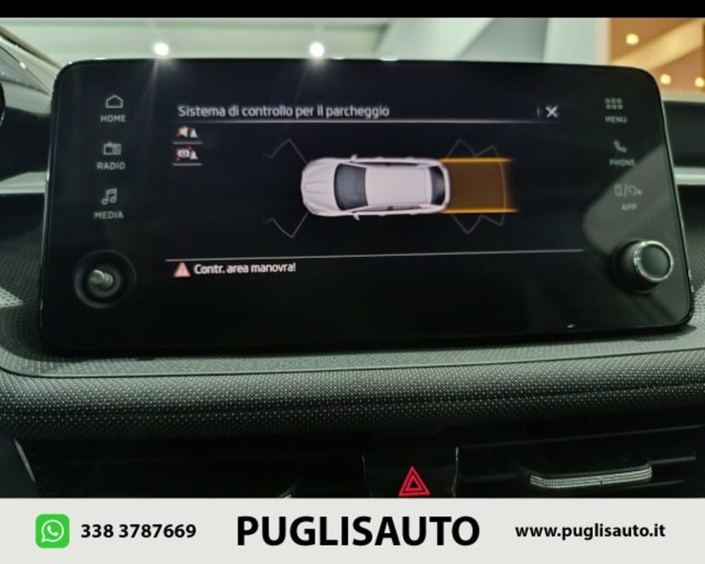 Skoda Fabia usata a Catania (10)