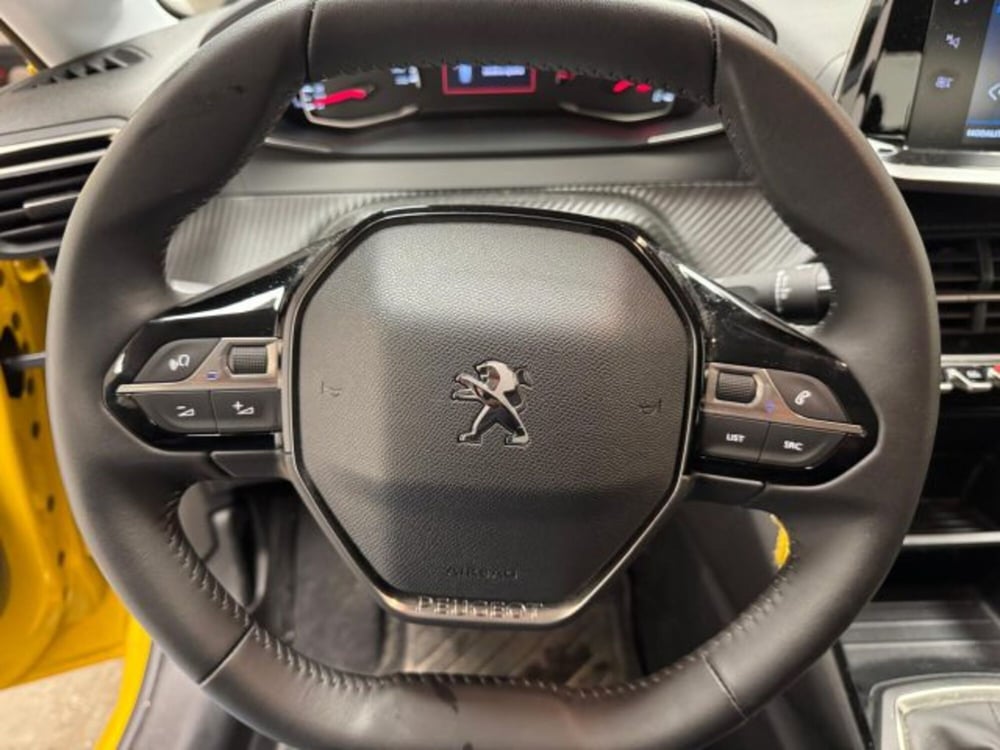 Peugeot 208 usata a Biella (11)