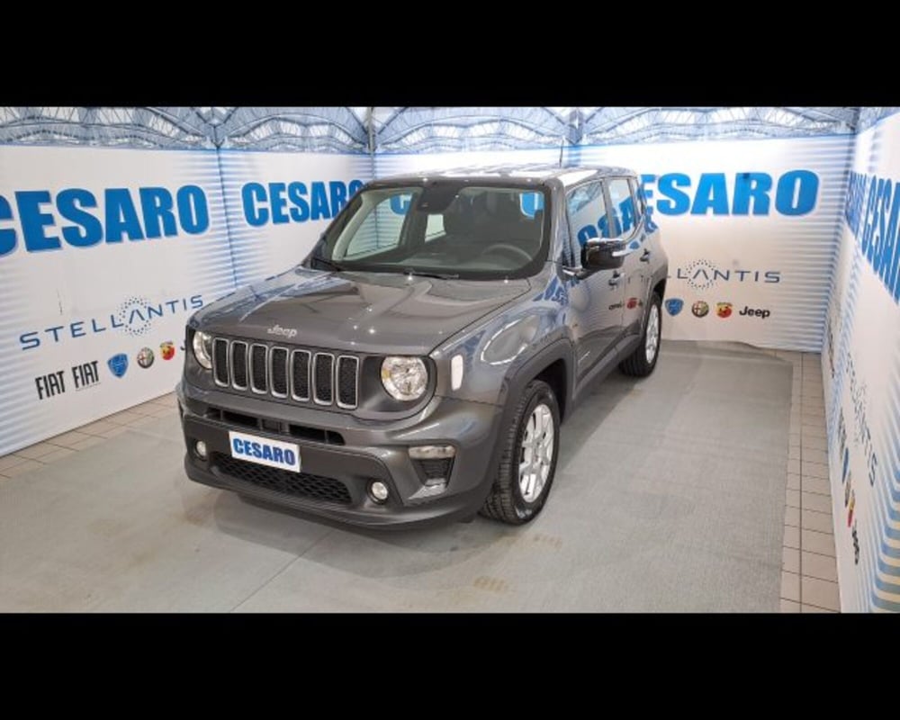 Jeep Renegade usata a Aosta (2)