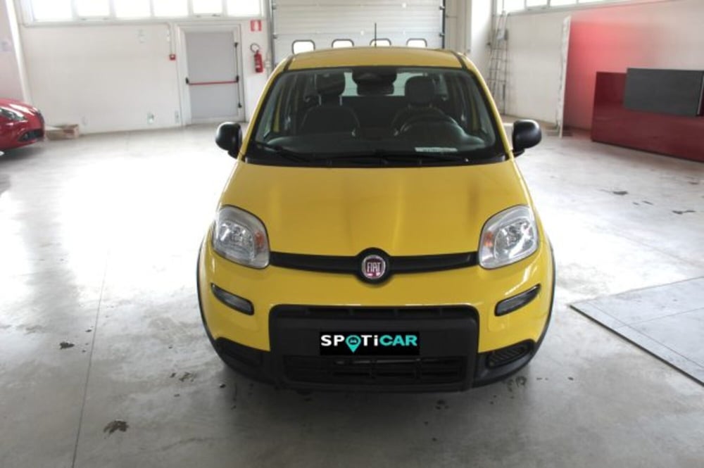 Fiat Panda nuova a Terni (2)