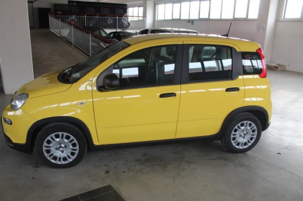 Fiat Panda nuova a Terni (3)