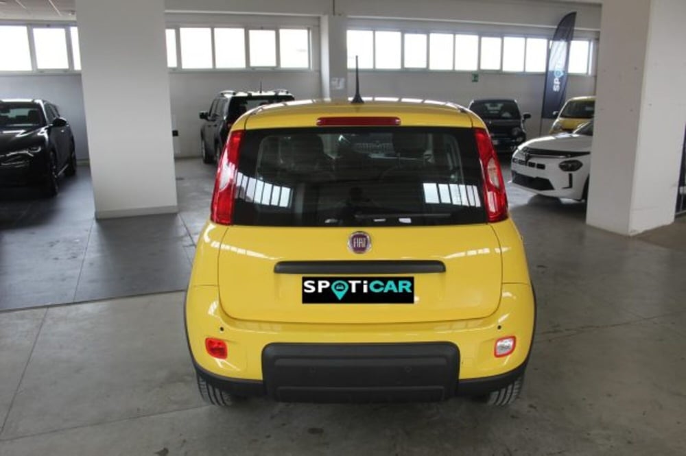 Fiat Panda nuova a Terni (5)