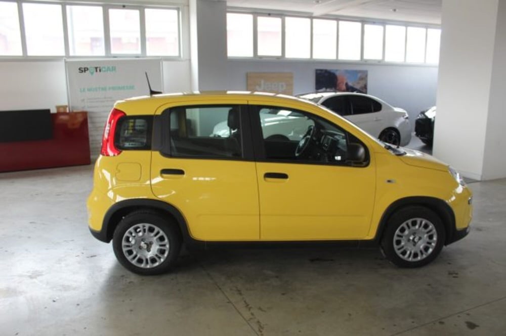 Fiat Panda nuova a Terni (6)